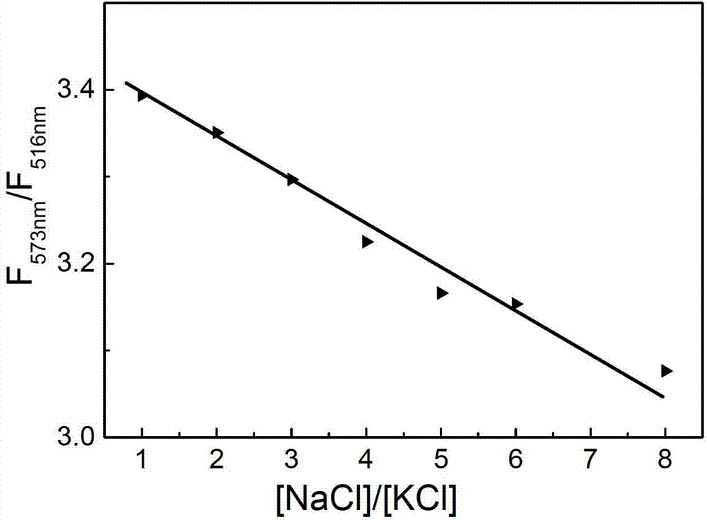 Sodium/ potassium ion ratio detecting method, system and kit