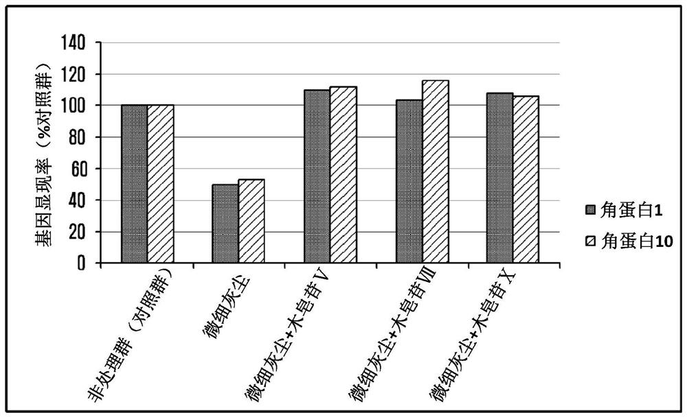 Skin external preparation composition containing wood saponin