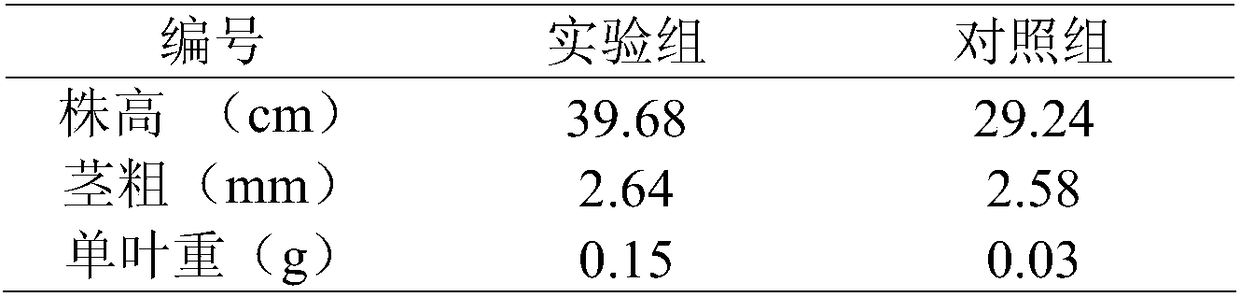 Arbuscular mycorrhizal fungus bacterial agent as well as preparation method and application thereof