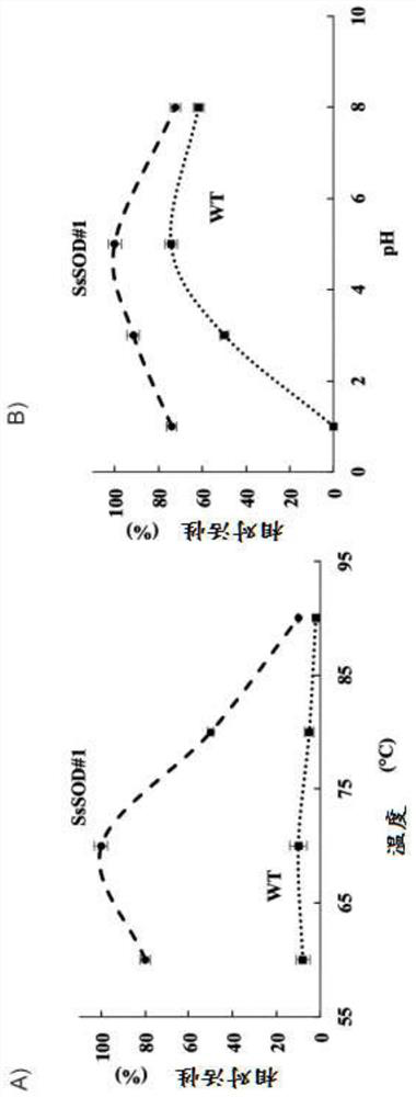 Industrial applications of plant cell extracts comprising sod enzymes of extremophilic micro-organisms