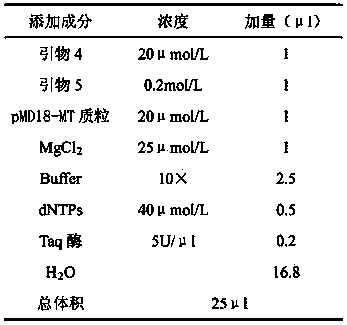 Antibacterial peptide