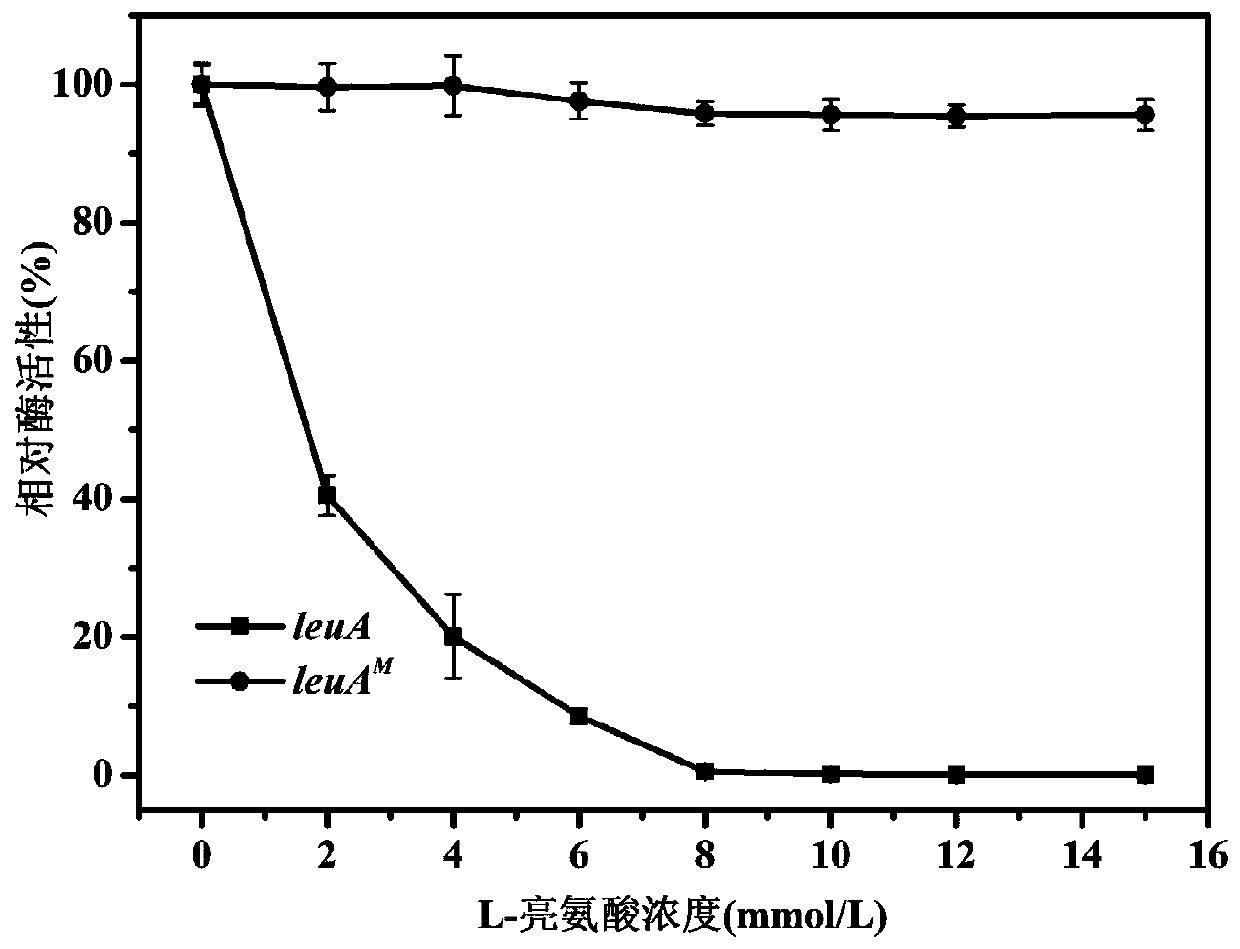 Genetic engineering bacterium for producing L-leucine, and application of genetic engineering bacterium