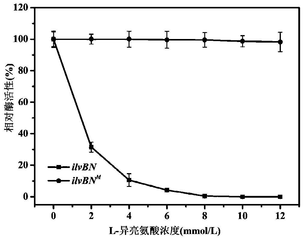 Genetic engineering bacterium for producing L-leucine, and application of genetic engineering bacterium