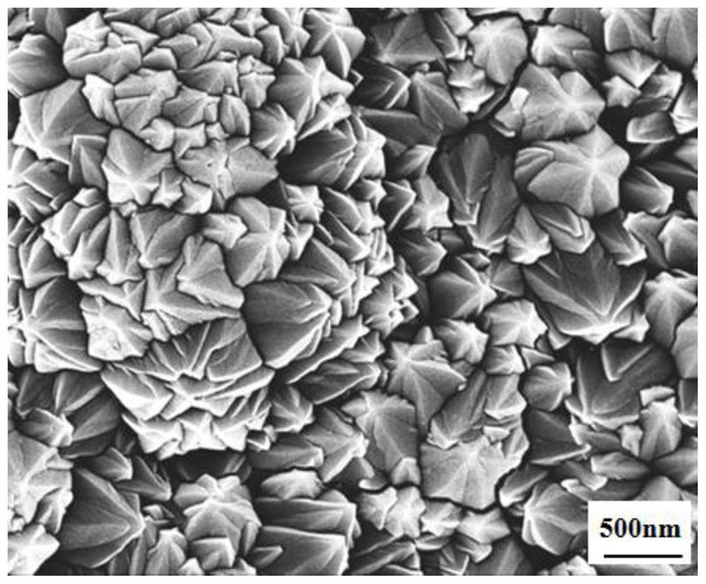 Preparation of an Array Structured Transition Metal Selenide Electrode and Its Application in Electrolysis of Water