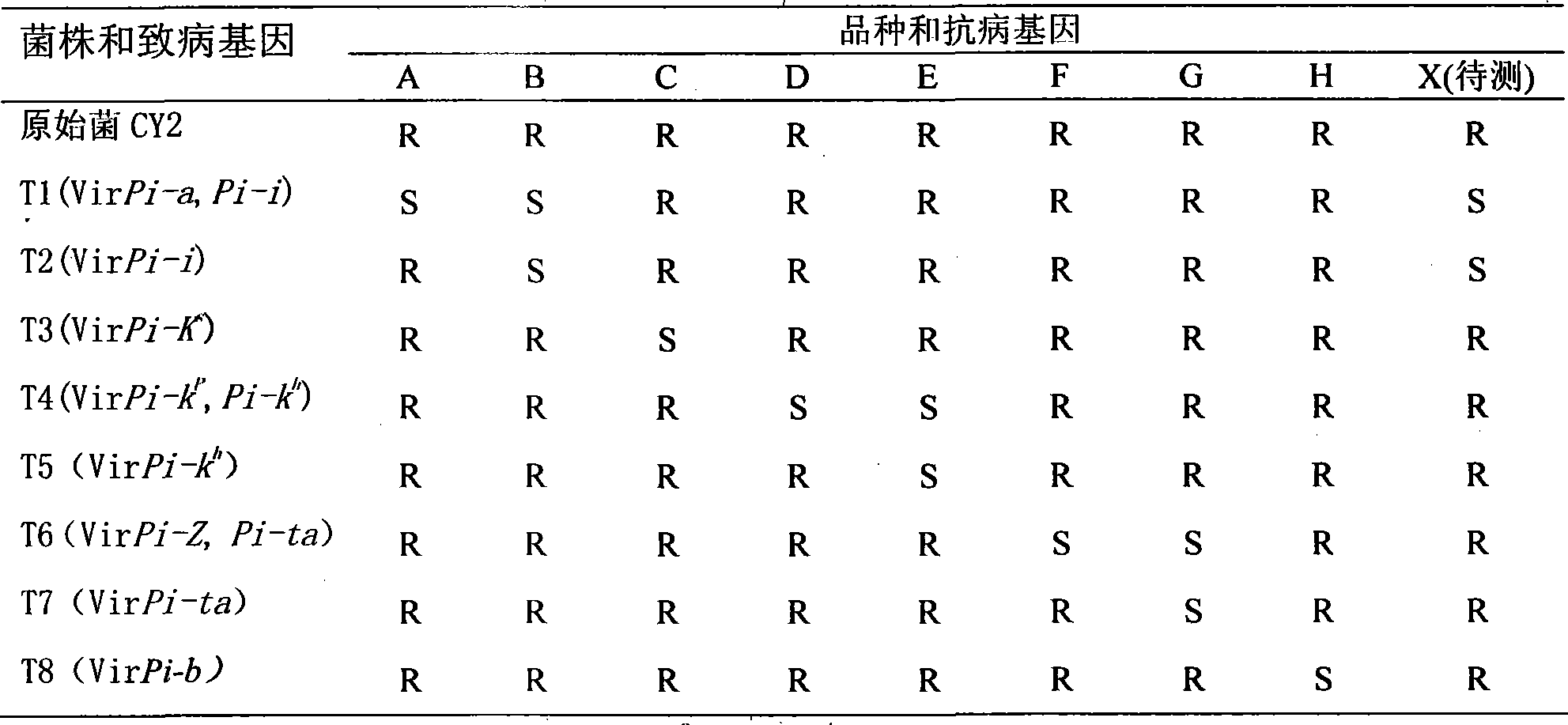 Method for analyzing rice blast resisting gene