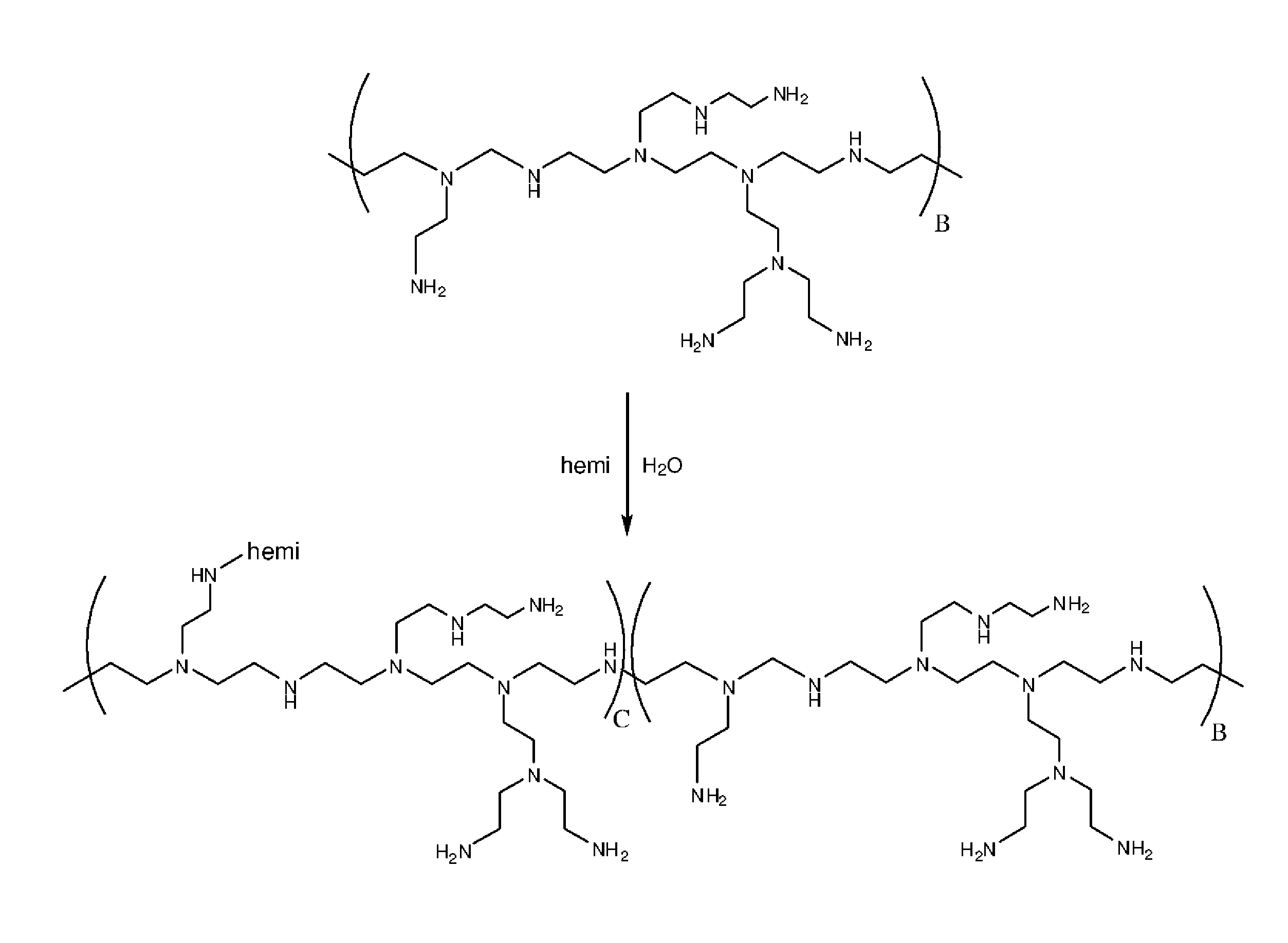 Polymer made of a primary amine functionalized polymer and a hemicellulose