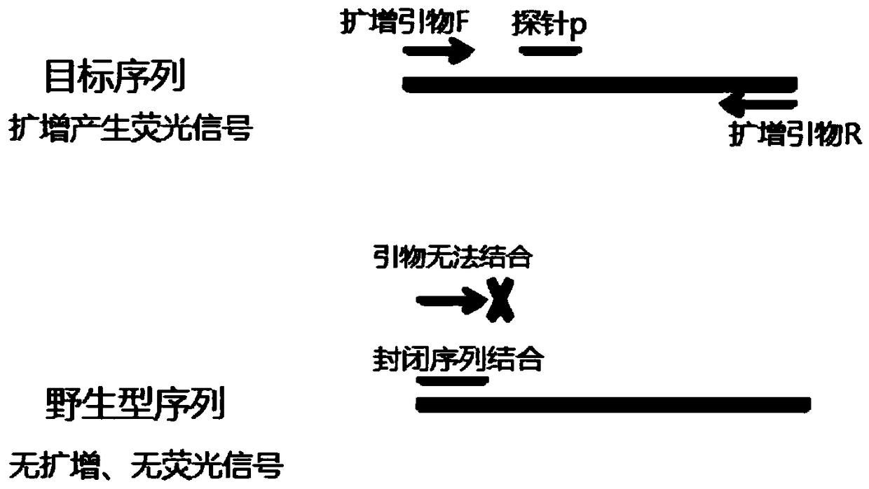 Kit for colorectal cancer detection and application thereof