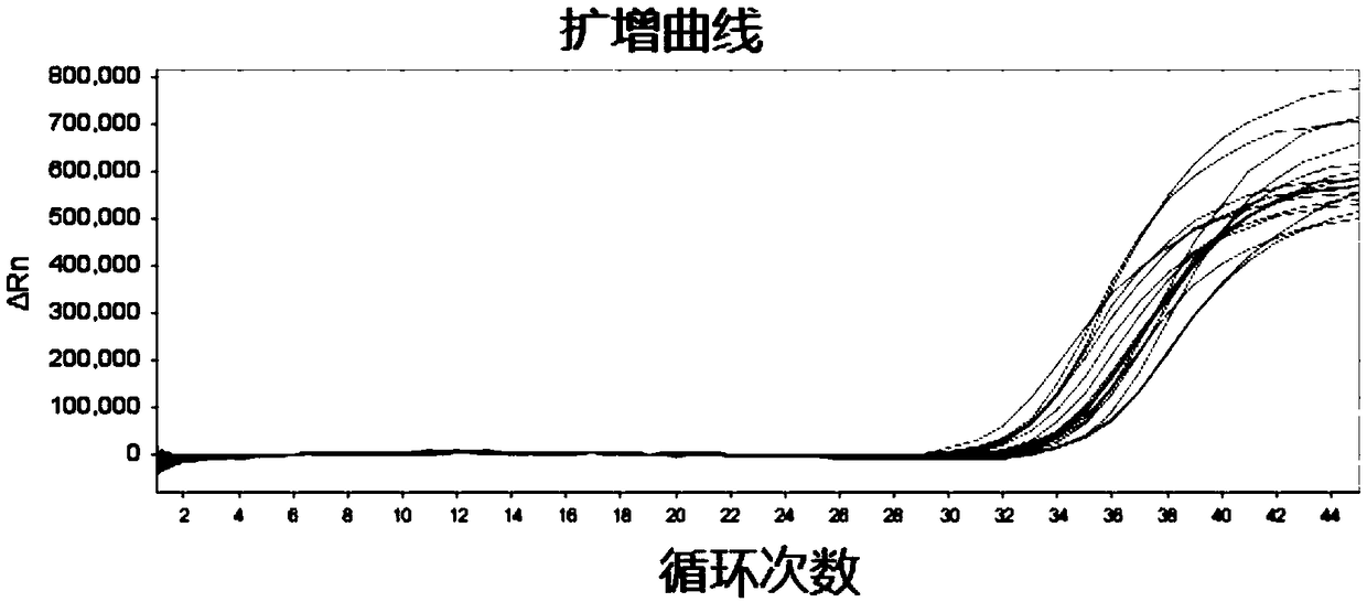 Kit for colorectal cancer detection and application thereof