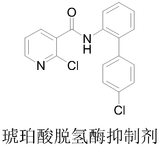 4-bromine-2-picolinamide compound containing diphenyl ether structure