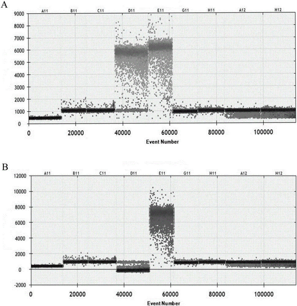 Nucleic acid combination for detecting pseudorabies virus and application of nucleic acid combination, and kit and method for detecting pseudorabies virus