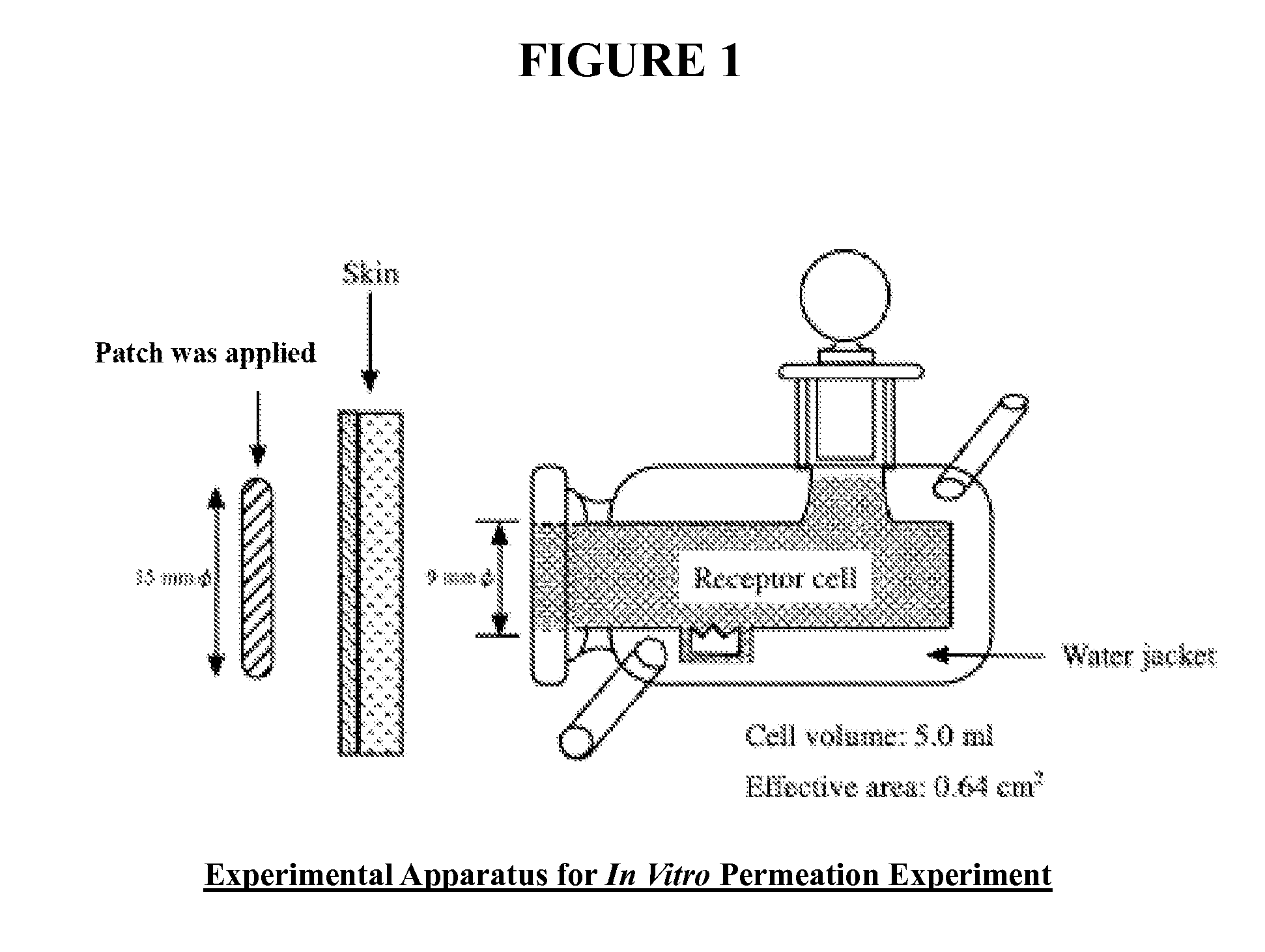 Transdermal drug delivery system and method of using the same