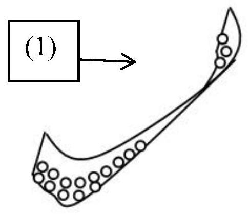 Method and device for assisting retention, germination and seedling planting of plant seeds and/or propagules in coastal wetland habitat