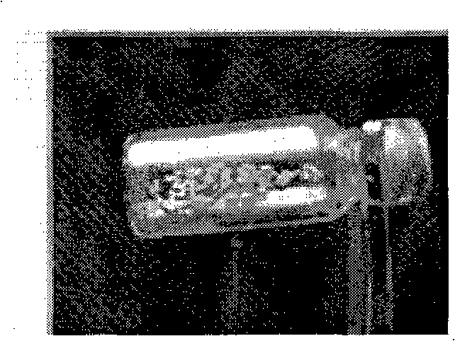 Radionuclide particle implantation medicine for cancer, use and preparation method thereof