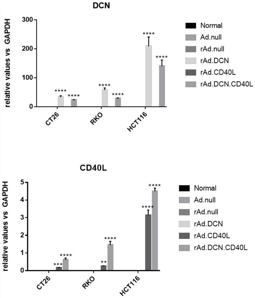 Multi-gene fusion oncolytic adenovirus and construction method and application thereof