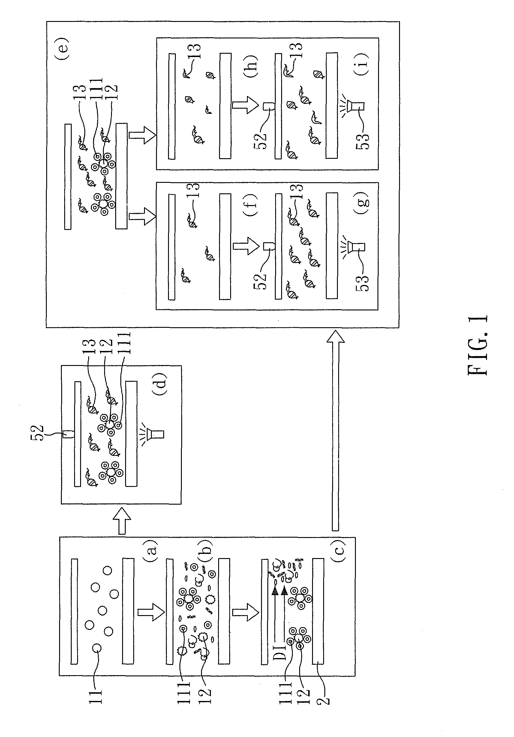 Method for detecting mitochondria gene alterations