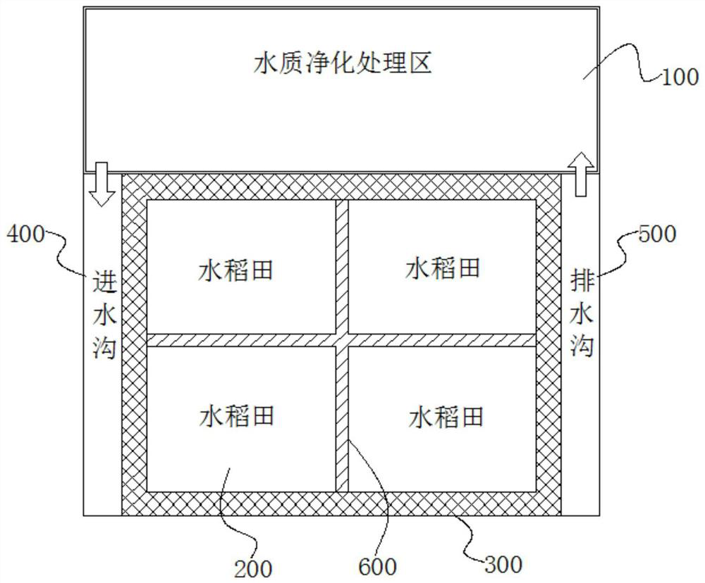 Method for restoring habitats and cultivating fireflies and rice