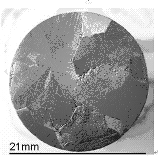 A kind of preparation method of magnesium-doped neodymium barium copper oxide large seed crystal