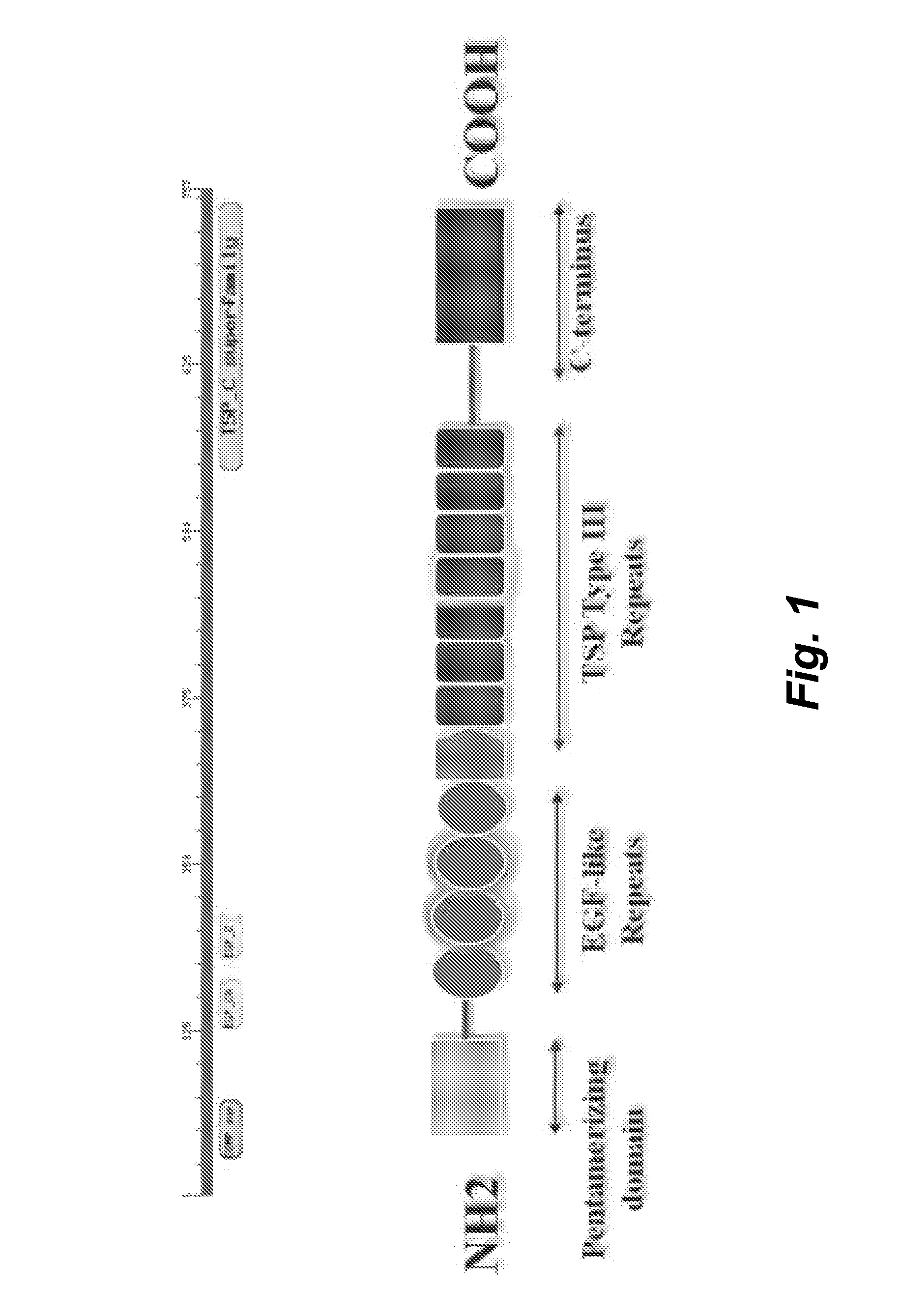 Cartilage oligomeric matrix protein (COMP)—growth factor complexes and uses thereof