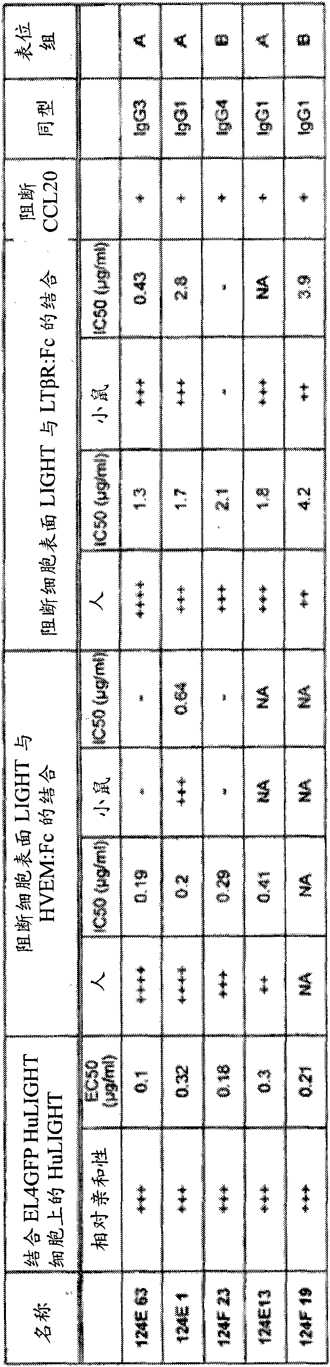 Antagonistic human light-specific human monoclonal antibodies