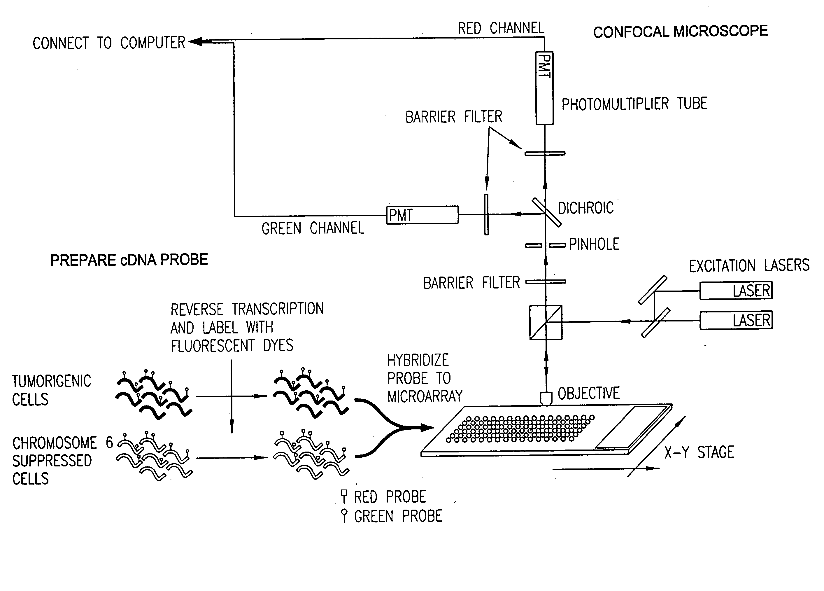 System and method for automatically identifying sub-grids in a microarray