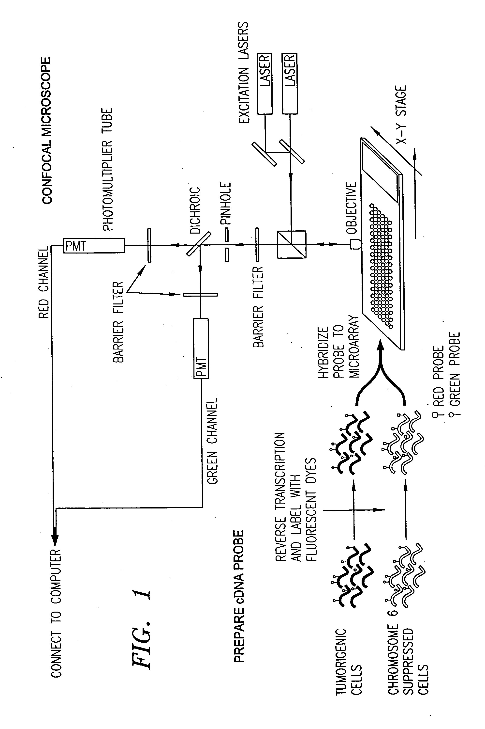 System and method for automatically identifying sub-grids in a microarray