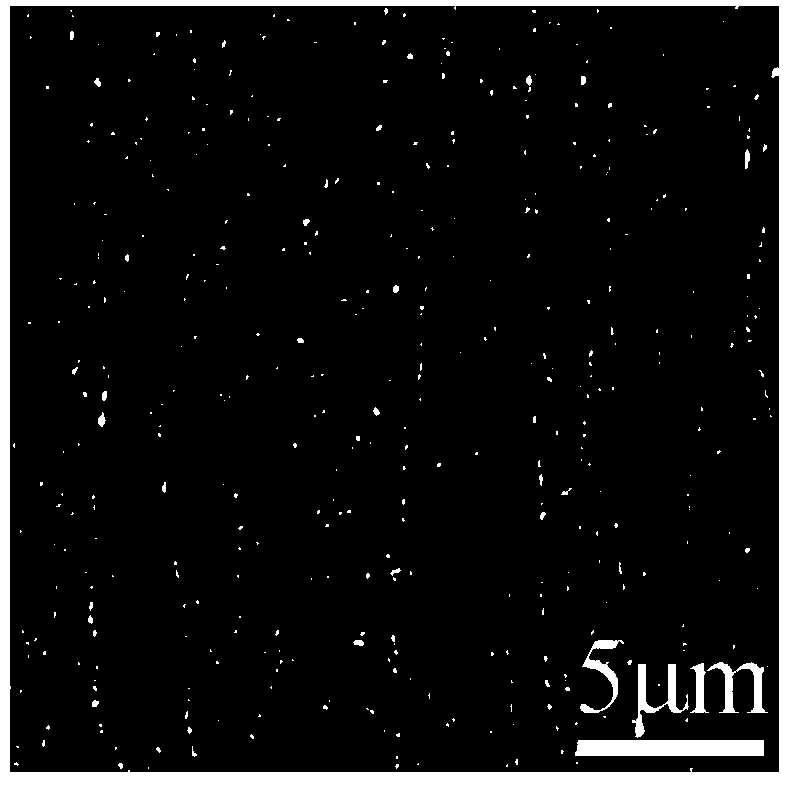 Method for obtaining ferritic heat-resisting steel with the characteristic of austenite structure