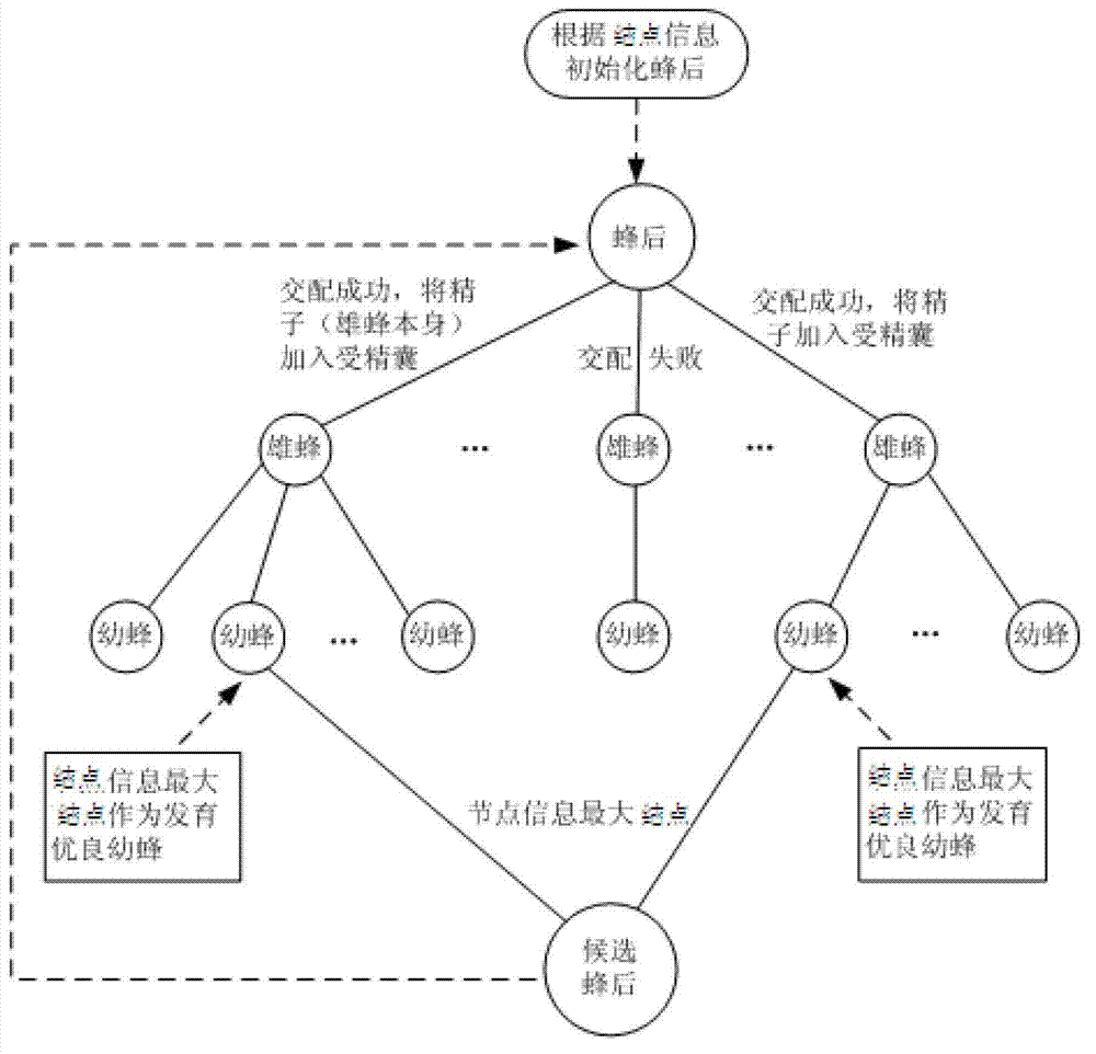 PPI (Point-Point Interaction) network clustering method based on artificial swarm reproduction mechanism