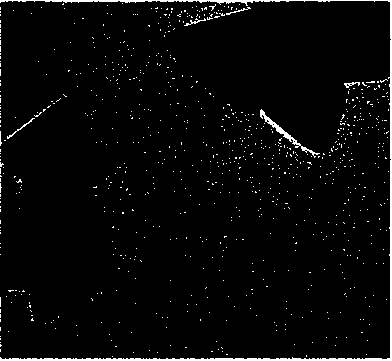 Tetrahedral zinc oxide single crystal particles and preparation method thereof