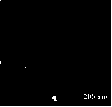 Tetrahedral zinc oxide single crystal particles and preparation method thereof