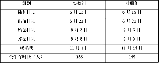 A kind of cultivation method of direct seeding rice