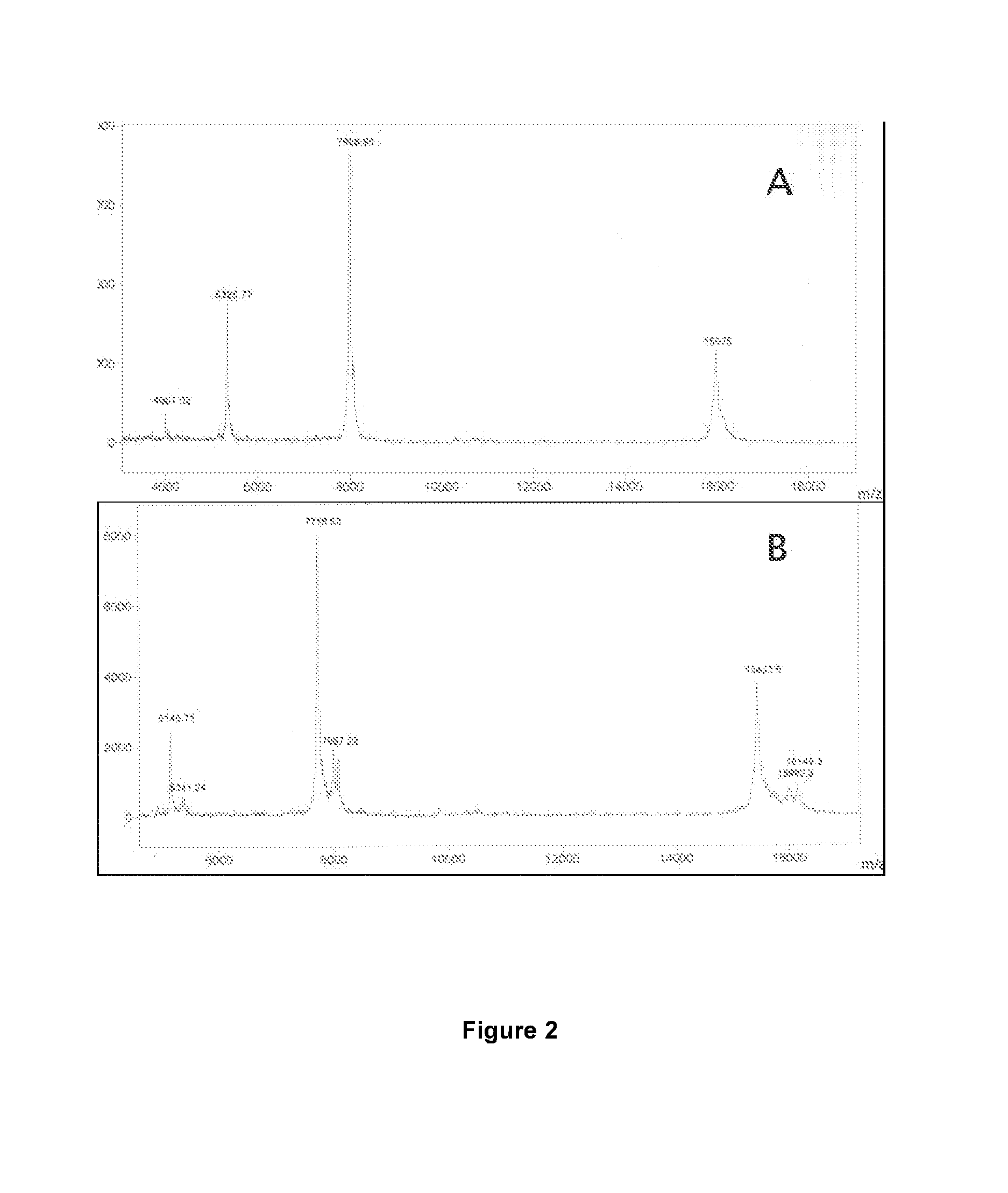 Expression of proteins in E.coli