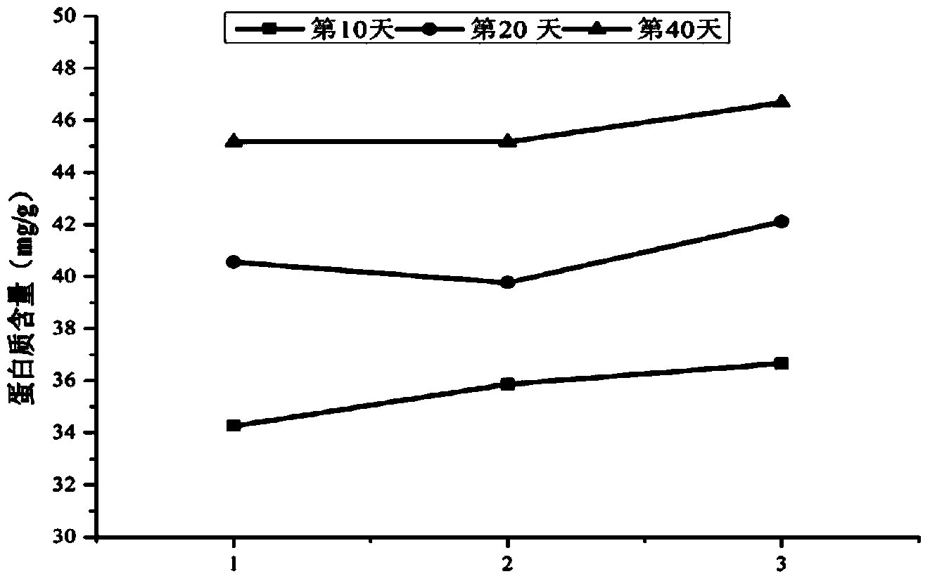 Method for measuring protein in sludge according to coomassie brilliant blue method