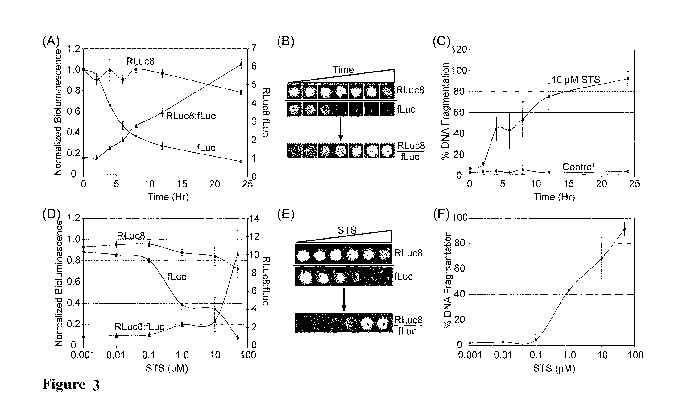 Ratiometric bioluminescent sensor for imagining oxidative stress