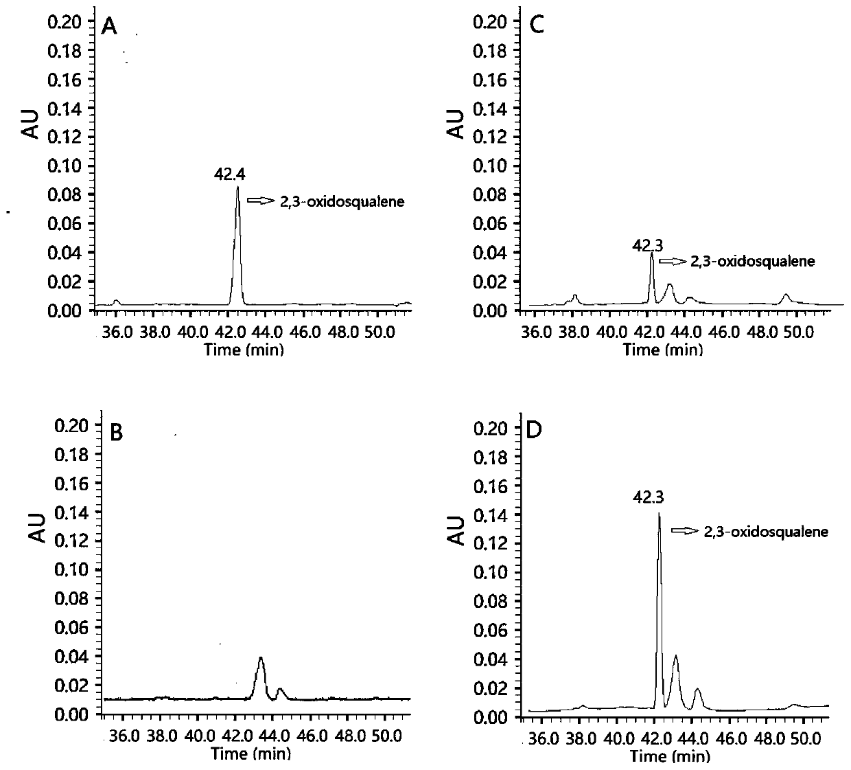 Alisma orientale squalene cyclooxygenase and application thereof