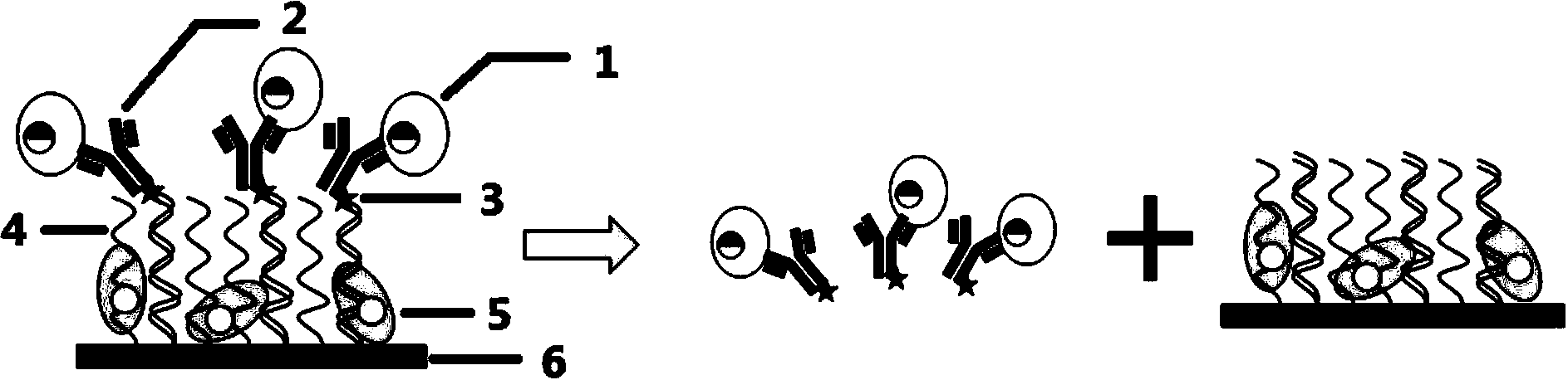 Method for separating high-purity circulating tumor cells from blood