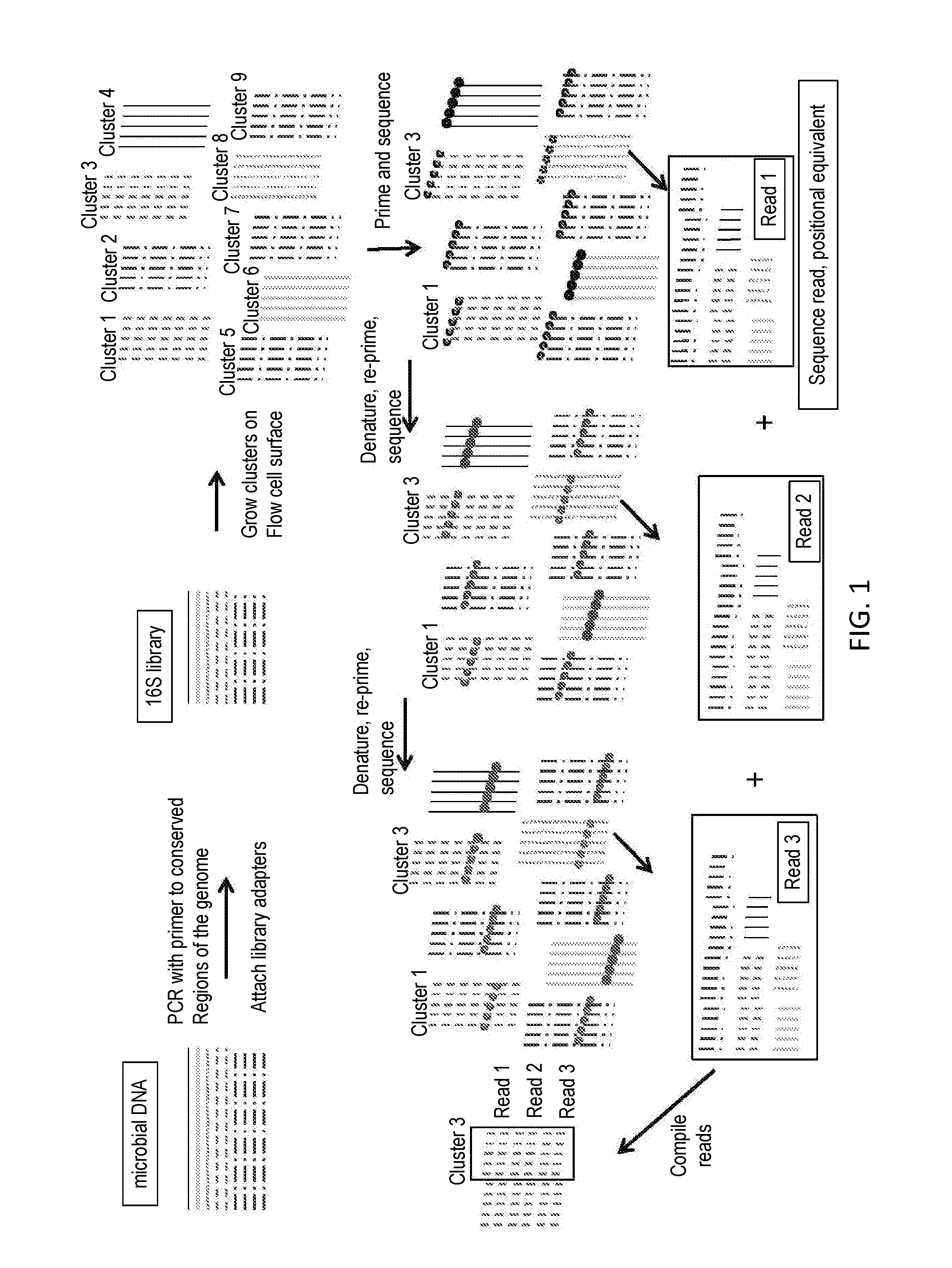 Sequential Sequencing