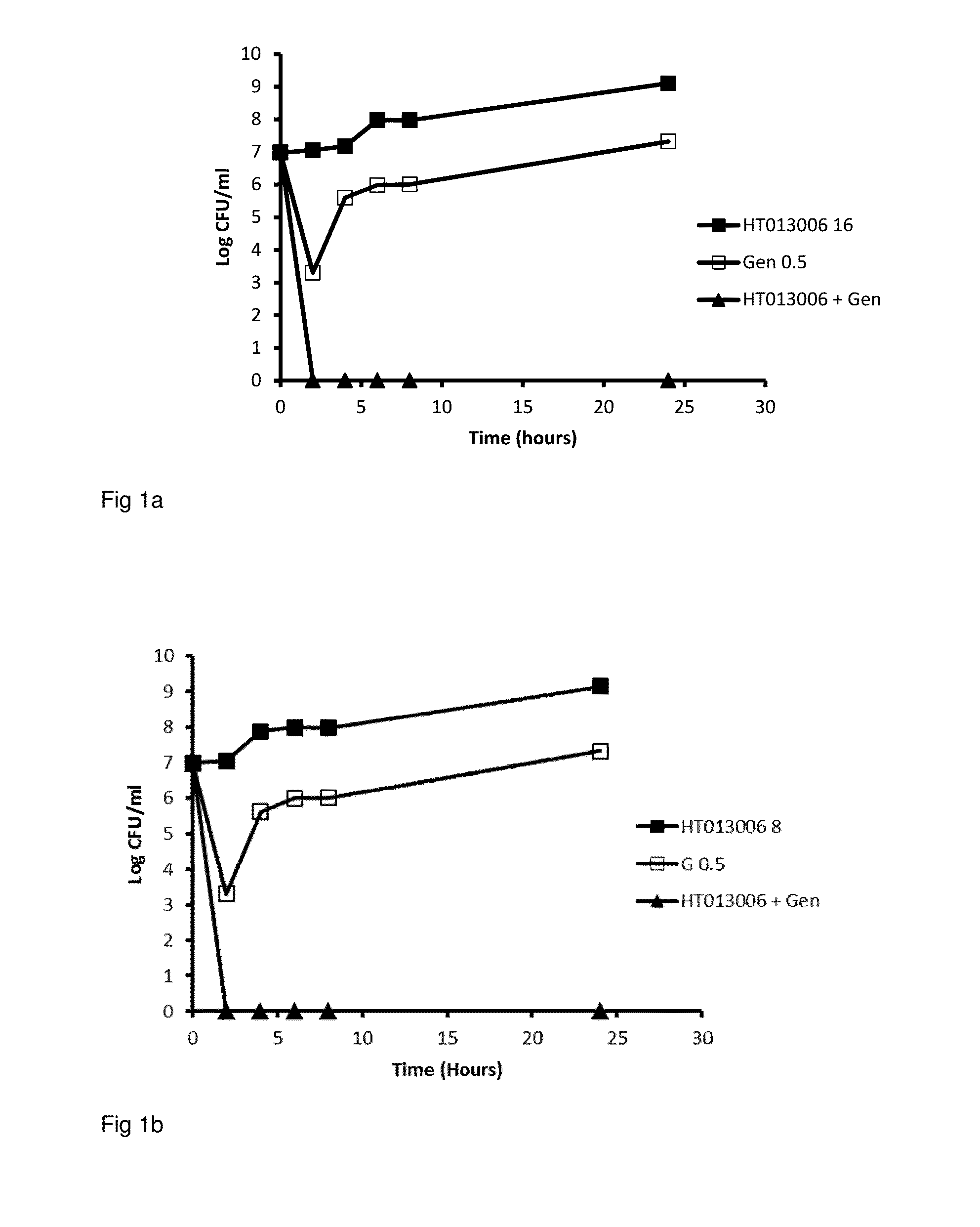 Combination of nordihydroguaiaretic acid and an aminoglycoside