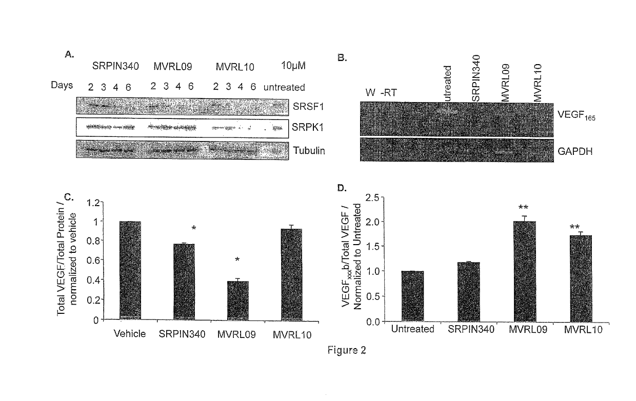 Compounds useful for treating ocular neovasculan