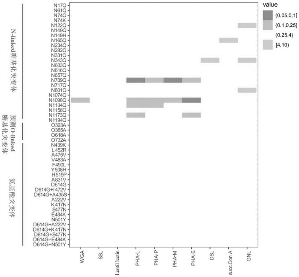 Application of lentil agglutinin in the preparation of drugs for preventing and treating infectious diseases caused by coronavirus