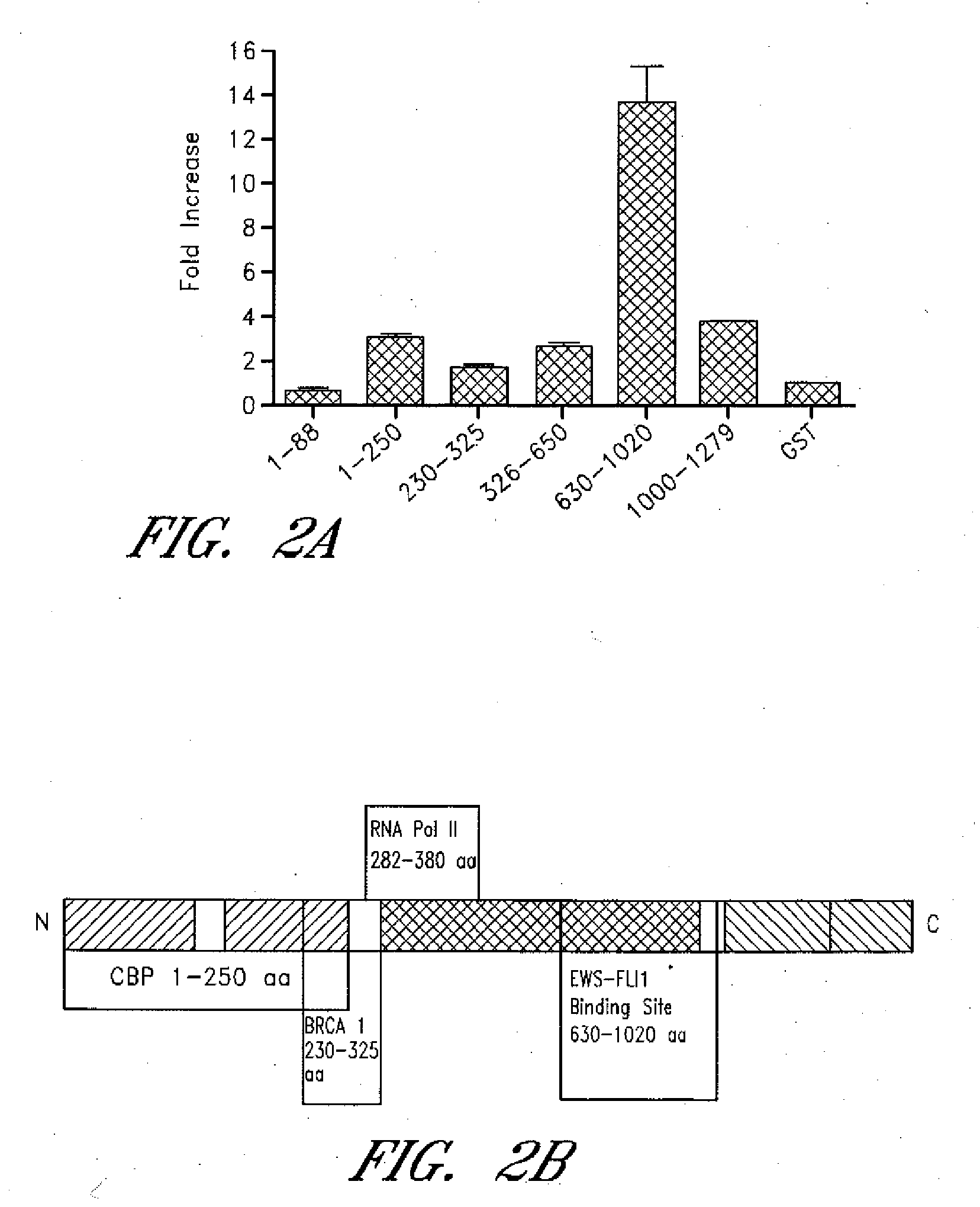 Targeting of ews-fli1 as Anti-tumor therapy