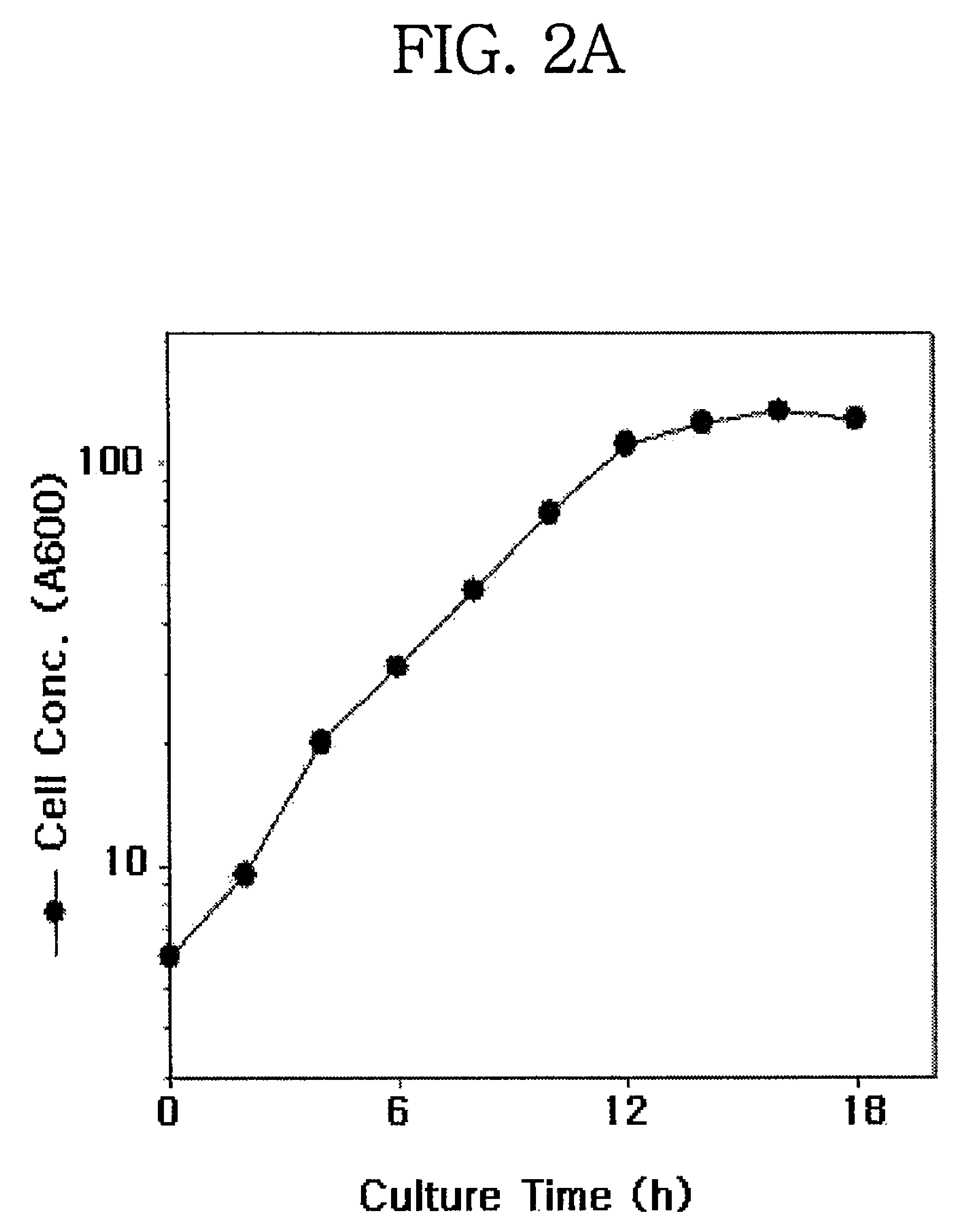 Translational elongation factor promoter from Pichia pastoris and method for producing recombinant protein using the same