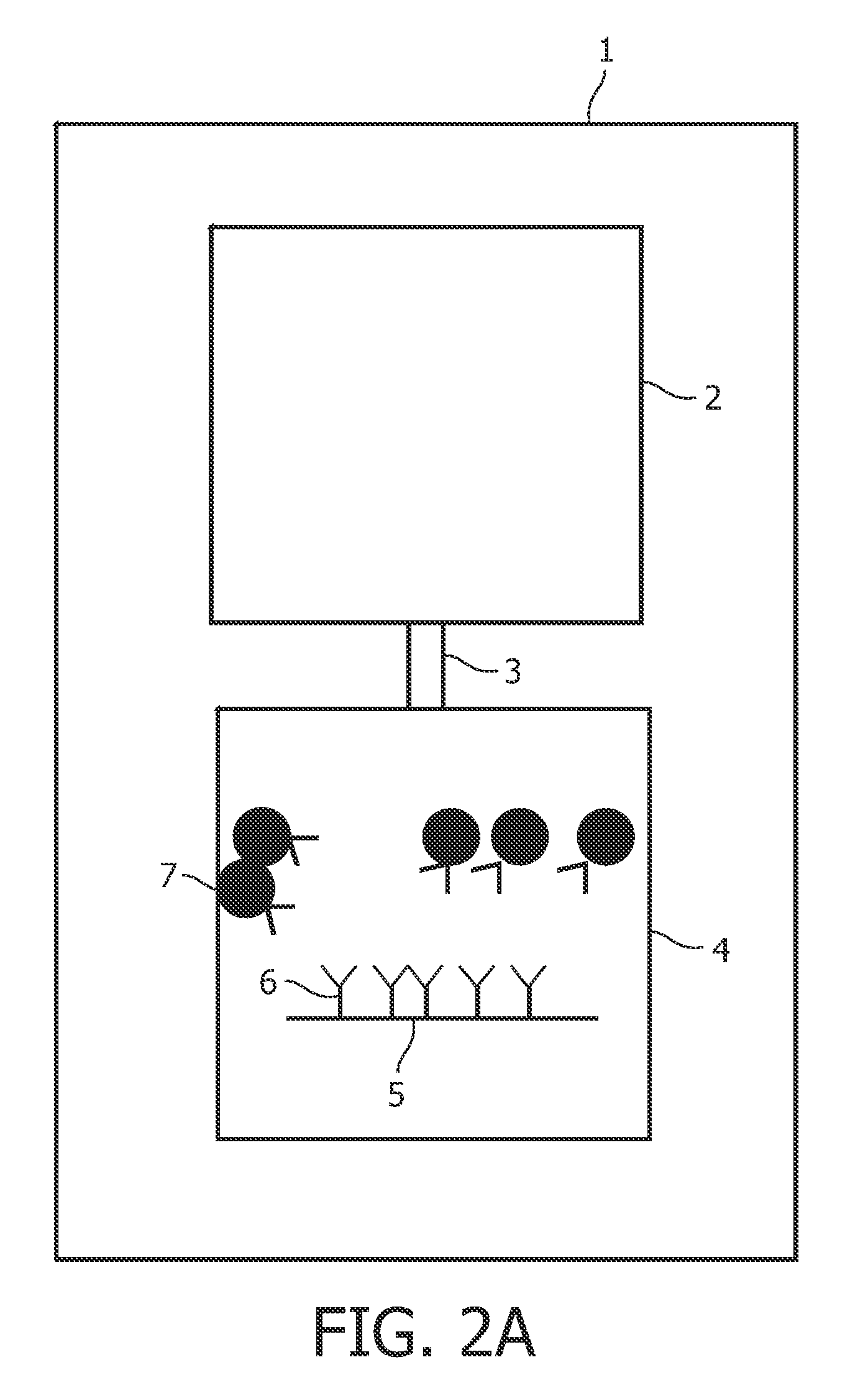 Device and methods for detecting analytes in saliva