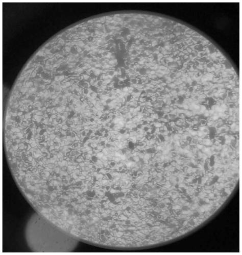 Electrode silver paste for functional ceramics and preparation method of electrode silver paste