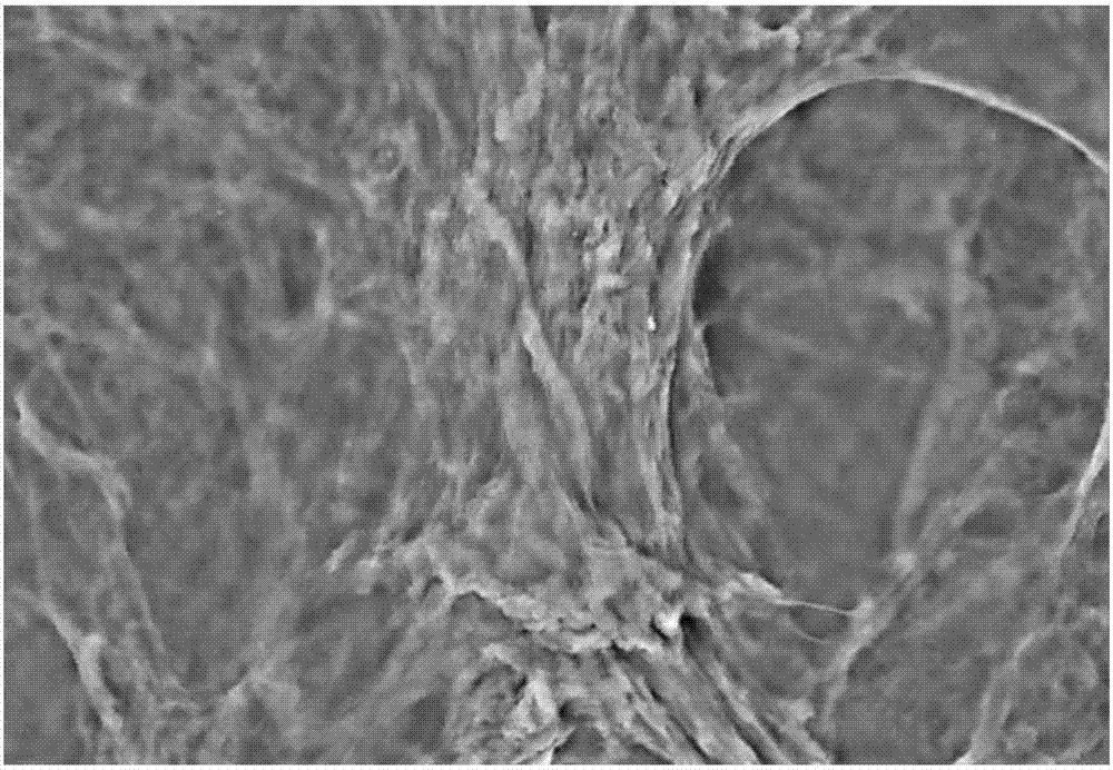 Preparation method of visible-light response wood shutters