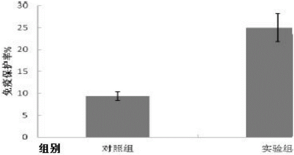 Microbial preparation applied in feeding of whiteleg shrimp, and preparation method and applications thereof