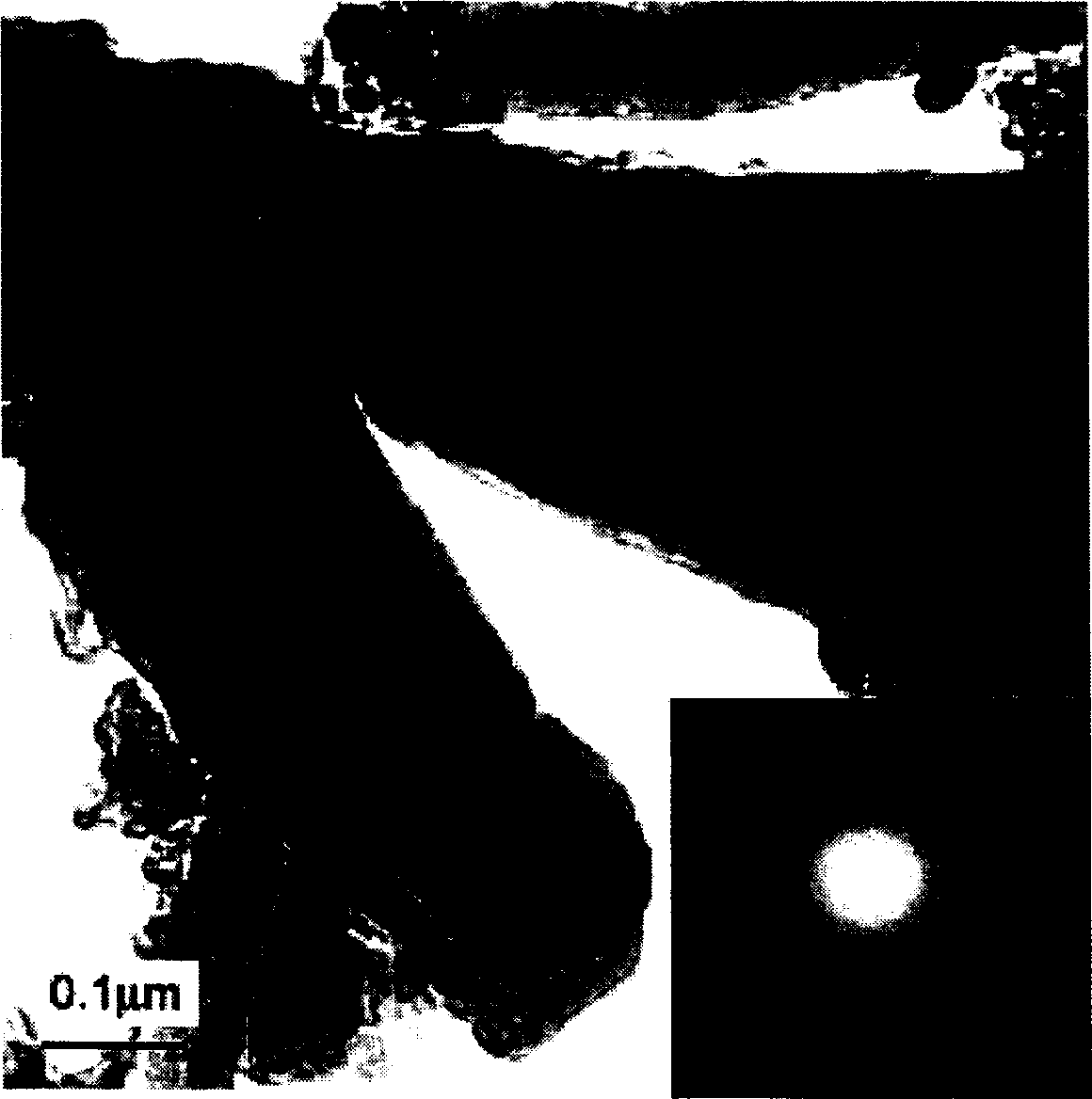 Carbon nano-tube/ferromagnetism metal nanowire composite material, mfg. method and use thereof