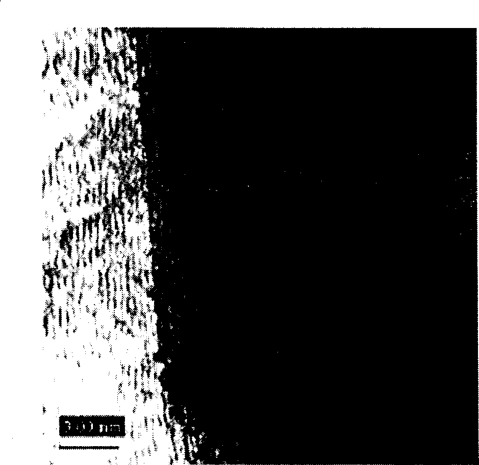 Carbon nano-tube/ferromagnetism metal nanowire composite material, mfg. method and use thereof