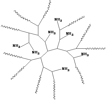 Novel method for enriching and separating Candida albicans