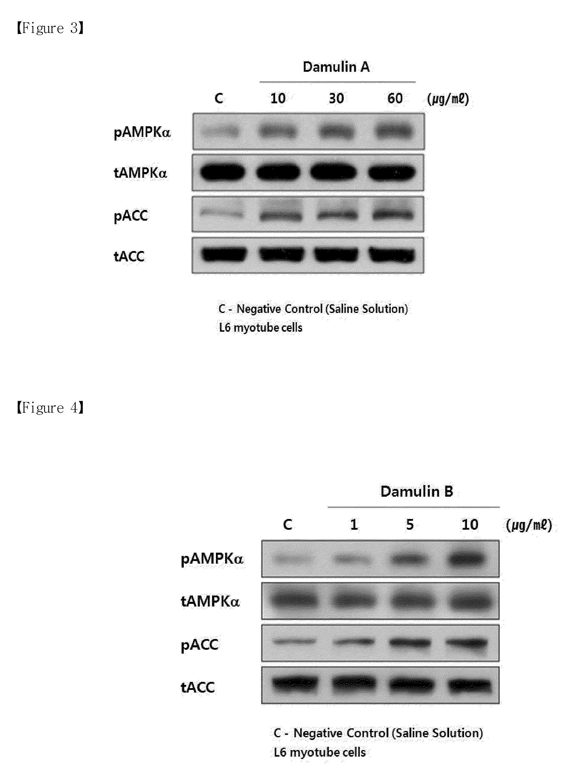 Method for preparing gynostemma pentaphyllum extract with increasing damulin a and damulin b contents, and pharmaceutical compositions of the same for treating metabolic disease