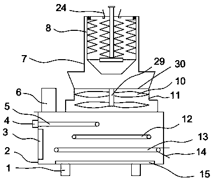 Automated squid processing device